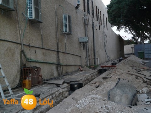 tarmem kanesa  1108 (7).jpg